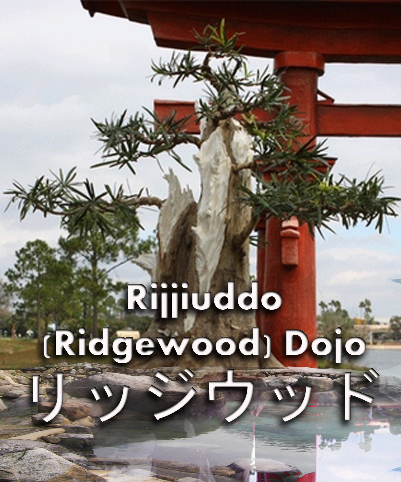 Rijjiuddo (Ridgewood) Dojo - Kaze Arashi Ryu