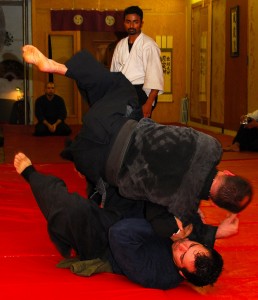 Hayashi Kino Ho (Woodside) Dojo of Kåze Arashi Ryu