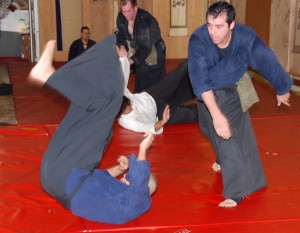 Hayashi Kino Ho (Woodside) Dojo of Kåze Arashi Ryu