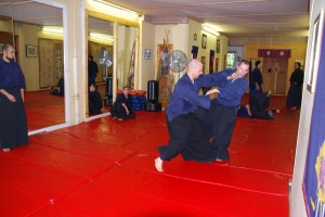 Hayashi Kino Ho (Woodside) Dojo of Kåze Arashi Ryu